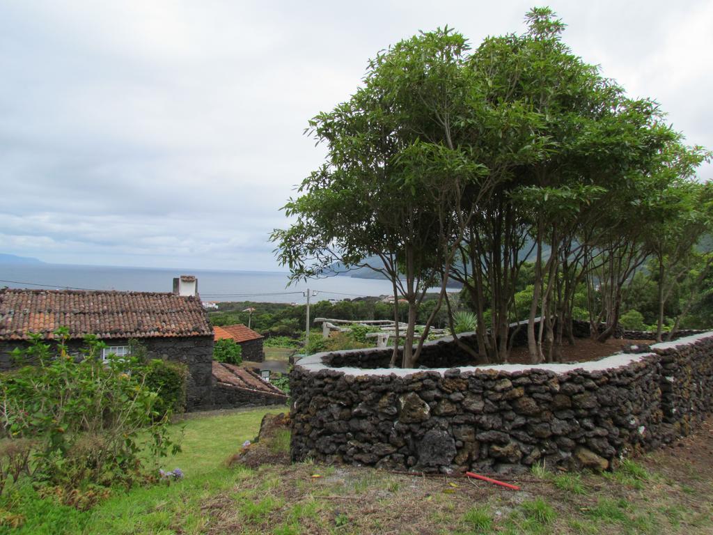 Casas De Campo Housesinpico Prainha  Exterior photo